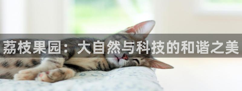 天辰娱乐扣钱