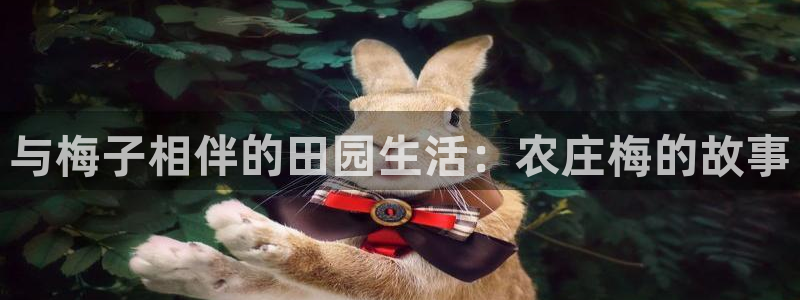 天辰娱乐 qq