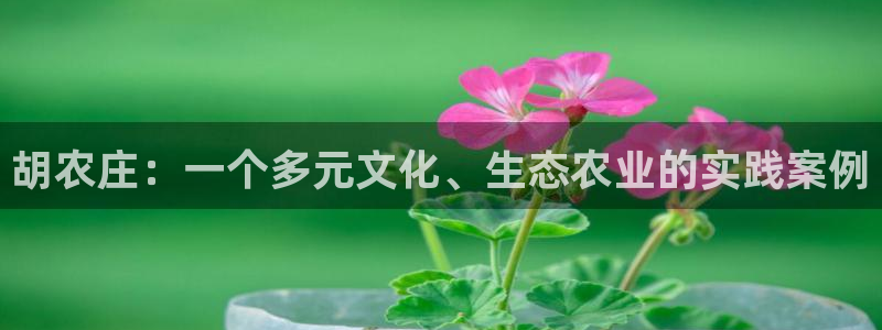 哈尔滨天辰娱乐