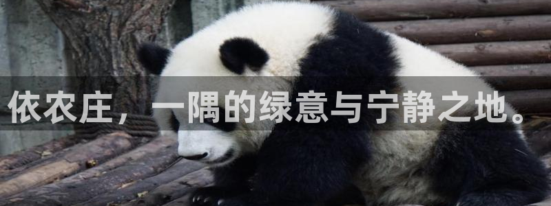 天辰娱乐股票