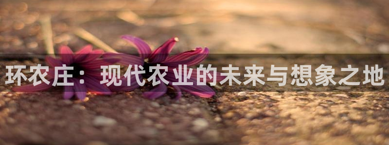 天辰娱乐天辰宝