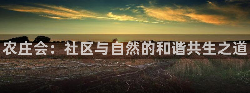 天辰娱乐电话