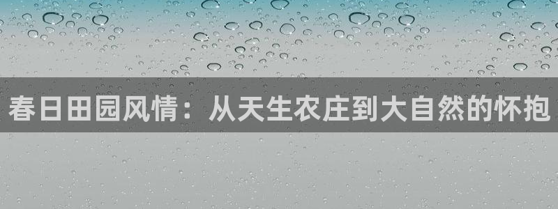 天辰娱乐小妹