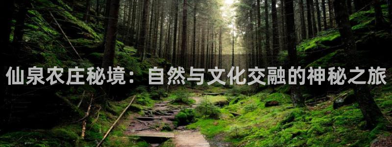 天辰娱乐