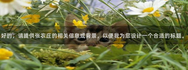 天辰团队贝高娱乐