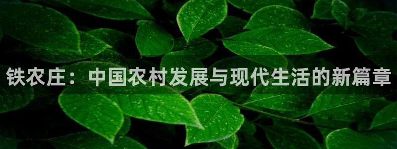 天辰娱乐39974神