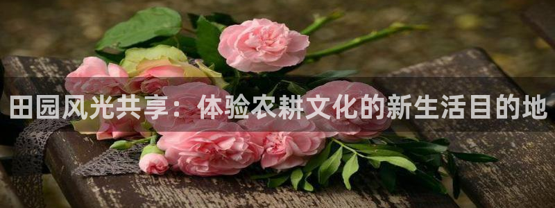 天辰娱乐下载链接