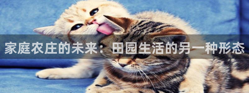 天辰娱乐官方登录入口