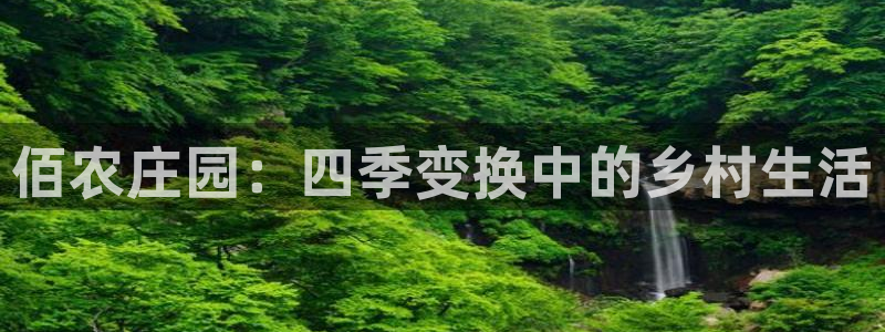 天辰娱乐天辰宝