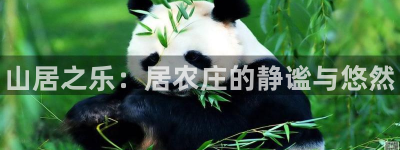 天富娱乐与天辰娱乐