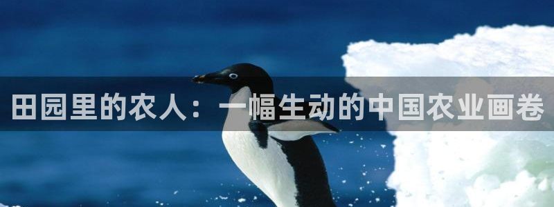 哈尔滨天辰娱乐