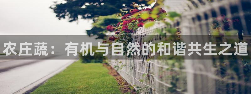 天辰娱乐注册登录