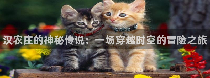 天辰娱乐平台入口