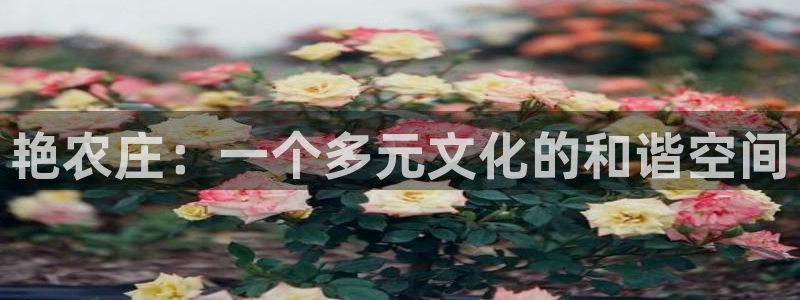 天辰娱乐线路