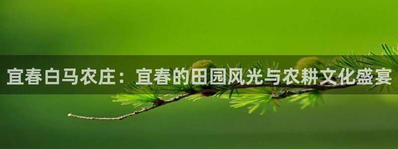 天辰娱乐在线登录注册