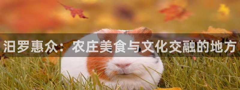 天辰天富娱乐登录