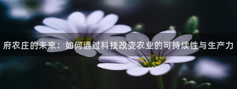 天辰辰娱乐代理