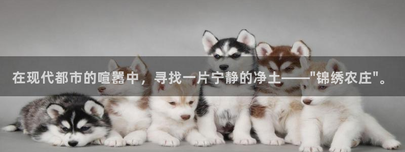 天辰娱乐下载链接