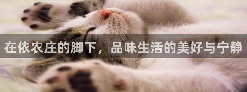 天辰娱乐反水