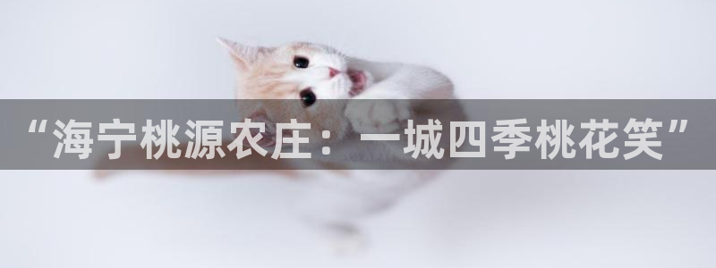 天辰娱乐首页