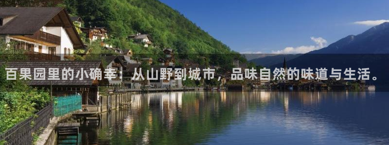 天辰娱乐平台入口