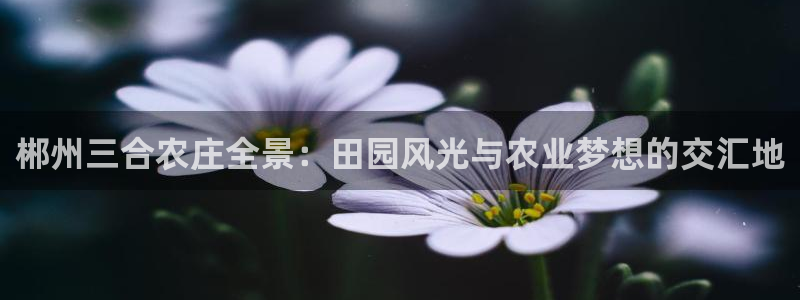 天辰娱乐反水