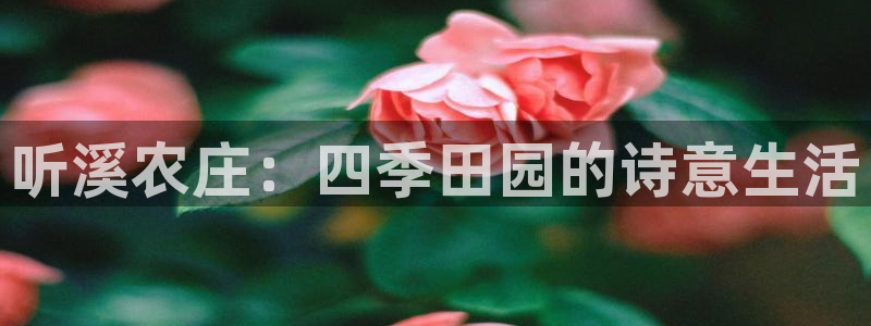 天辰宝娱乐